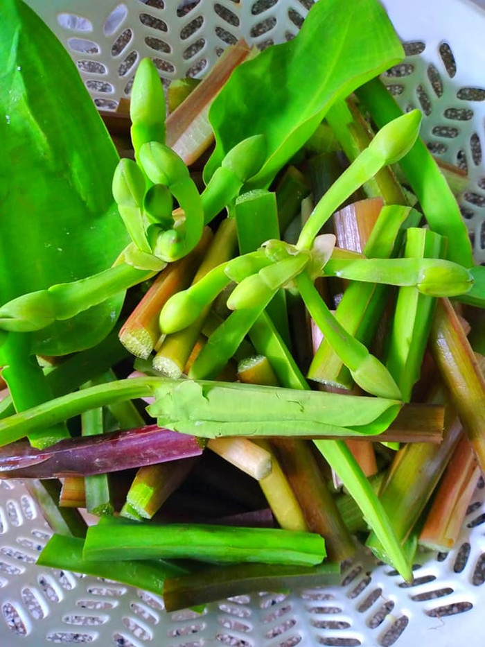 Loại rau mọc dại ở miền Tây, được săn đón nhiều nhất vào mùa nước nổi Ảnh 4