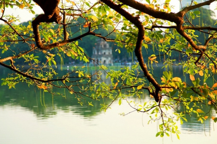 Từ 11/2, miền Bắc sẽ ấm áp hơn. Ảnh minh họa