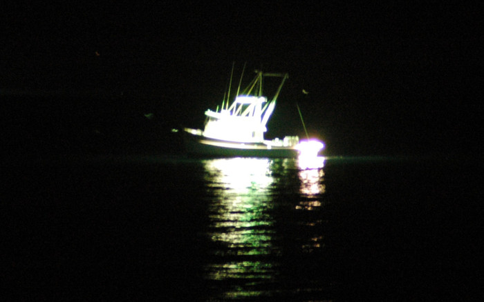 Người phụ nữ đi câu mực thì mất tích, được tìm thấy trong tình trạng khó tin Ảnh 2