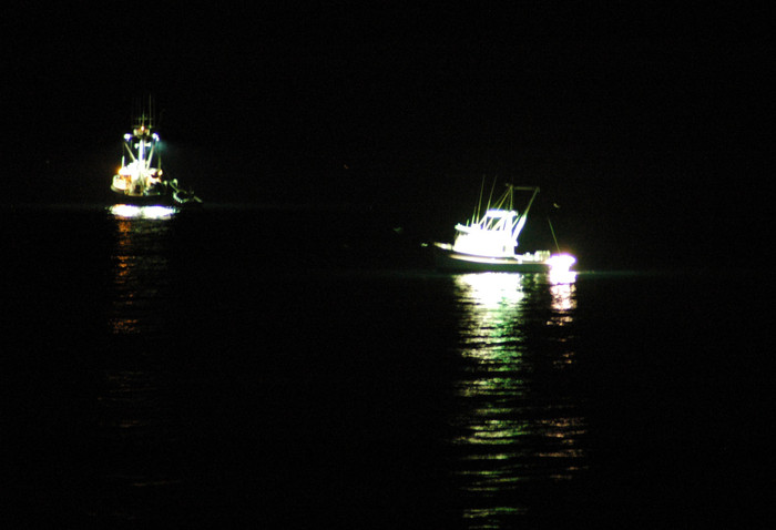 Người phụ nữ đi câu mực thì mất tích, được tìm thấy trong tình trạng khó tin Ảnh 2