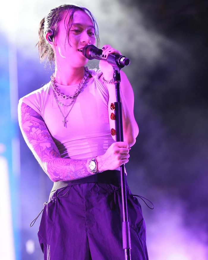 Concert của nam ca sĩ người Mỹ gốc Việt tại TP.HCM gây tranh cãi Ảnh 4