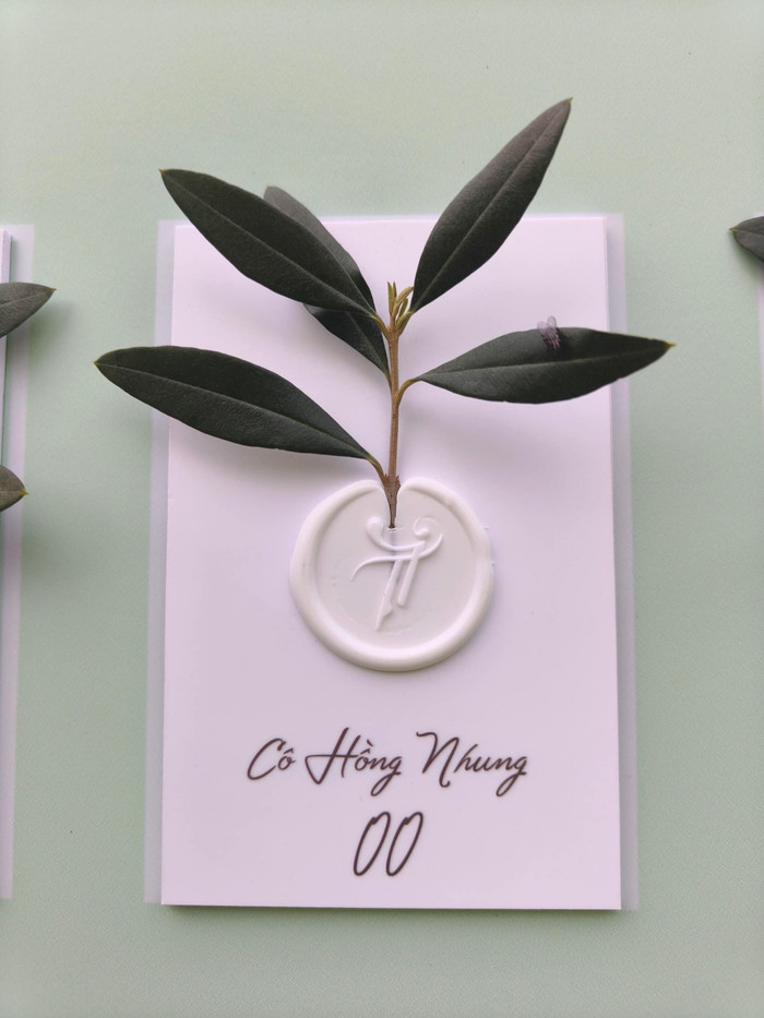 Hé lộ những hình ảnh đầu tiên bên trong lễ thành đôi của Vũ Cát Tường Ảnh 5