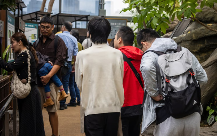 Sở thú cấm du khách nam đi một mình, nhiều người bức xúc Ảnh 2