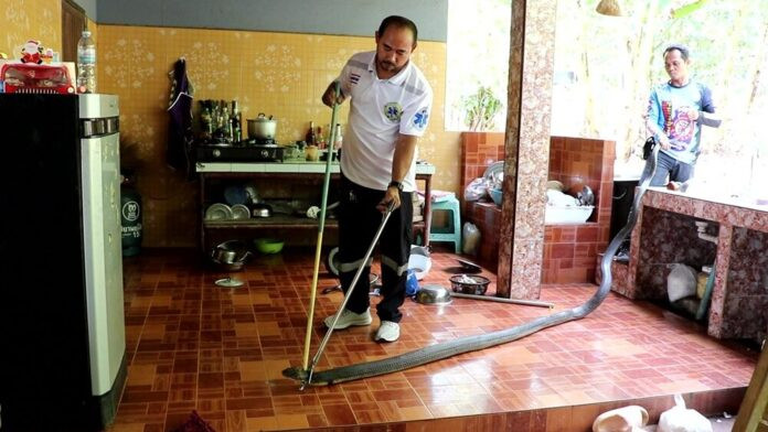 Đang ăn trong bếp, cụ bà bất ngờ đánh rơi đĩa cơm và bỏ chạy khi nhìn thấy một thứ Ảnh 2