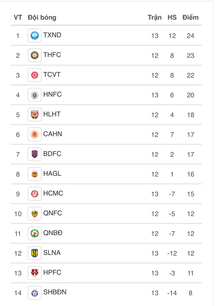 CLB Đà Nẵng xin VFF xoá thẻ đỏ cho HLV Lê Đức Tuấn Ảnh 2