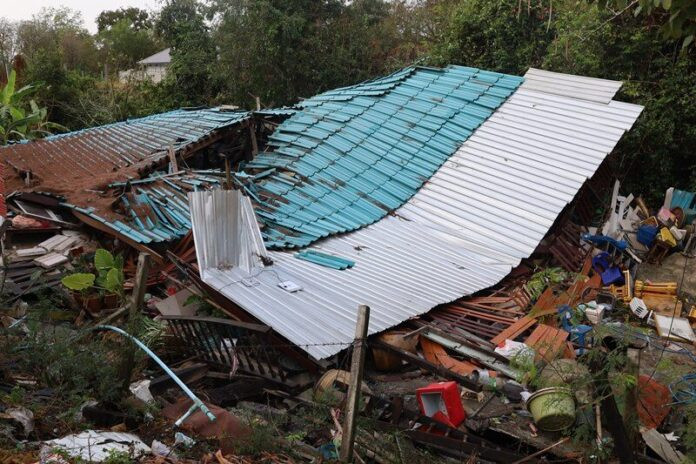 Nghe tiếng động lạ trong nhà, người phụ nữ gục ngã vì sự việc kinh hoàng xảy ra trong nháy mắt Ảnh 2