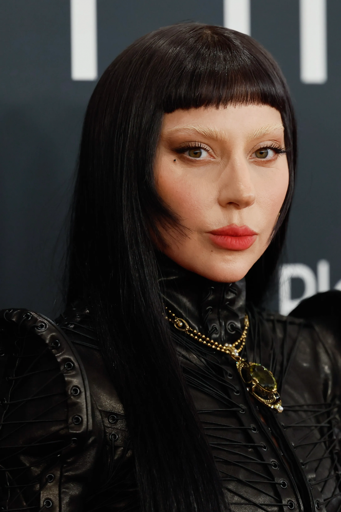 Album mới chưa ra mắt, Lady Gaga đã làm nên lịch sử! Ảnh 1