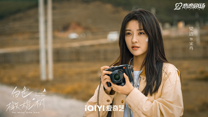 Tam quan của nữ chính gây ra không ít tranh cãi.