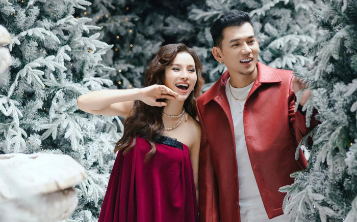 Phương Trinh Jolie tuyên bố triệt sản, chồng trẻ phản ứng gây chú ý Ảnh 2