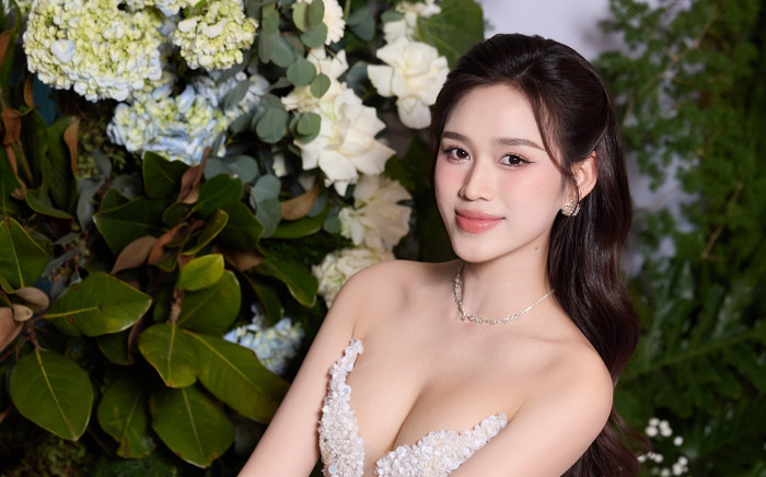 Chuyện gì xảy ra với Hoa hậu Đỗ Thị Hà? Ảnh 2