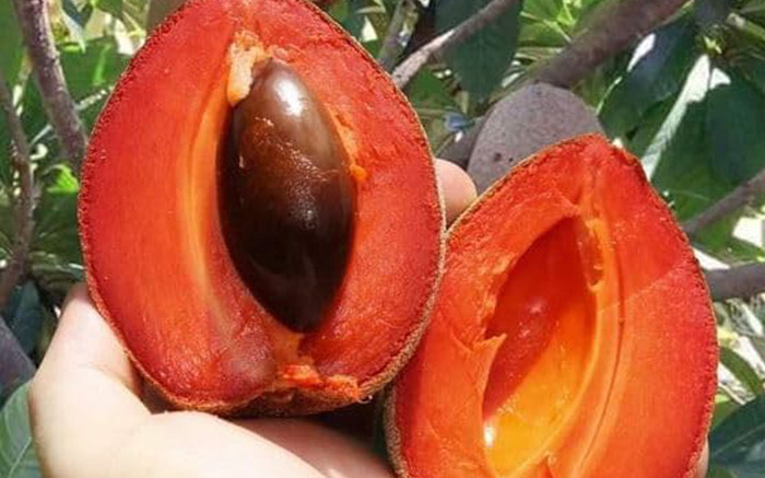 Quả lạ ruột đỏ thành đặc sản, nay được săn lùng với giá 300.000 đồng/kg vì hương vị hiếm có Ảnh 2