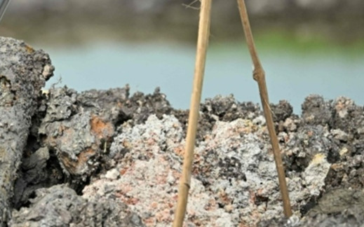 2 đứa trẻ đào đất trên khu ruộng bỏ trống, sự việc xảy ra sau đó khiến người thân gục ngã Ảnh 2