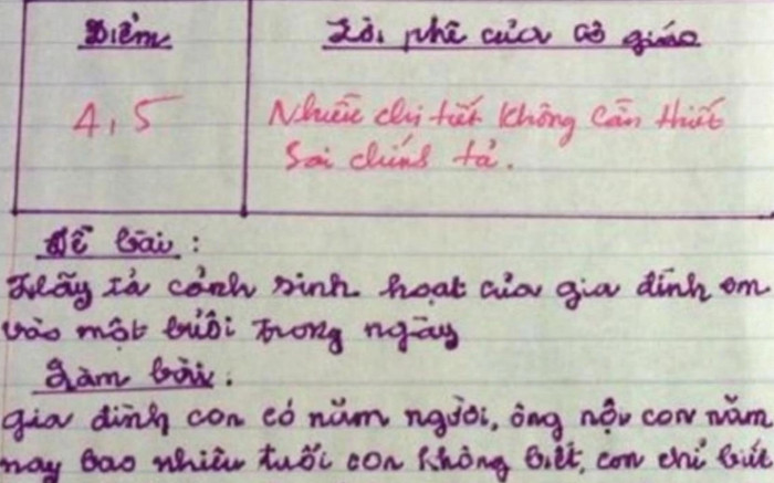 Bài văn tả cảnh sinh hoạt của cả nhà đạt 4.5 điểm, 2 lời phê của cô giáo gây chú ý Ảnh 2
