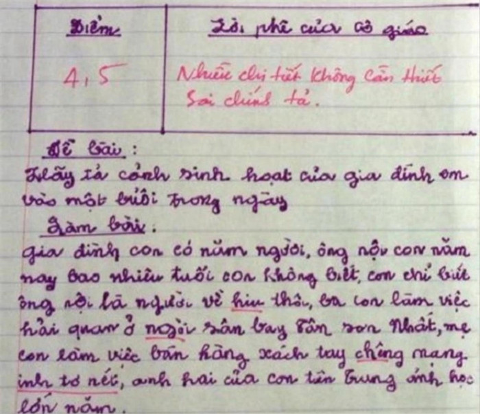 Bài văn tả cảnh sinh hoạt của gia đình chỉ đạt 4.5 điểm và lời phê gây chú ý của giáo viên.