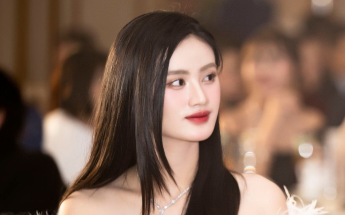 Cái giá cho Hoa hậu Ý Nhi Ảnh 2