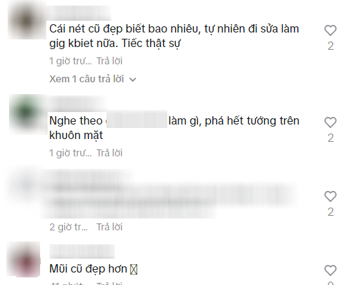 Cái giá cho Hoa hậu Ý Nhi Ảnh 2