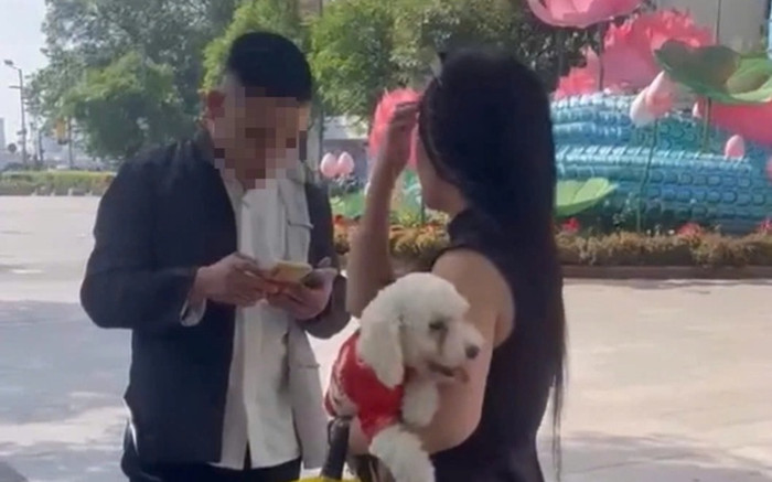 Nhắc nhở đôi nam nữ để chó chạy vào khuôn viên phố đi bộ, bảo vệ bị đánh bất tỉnh Ảnh 2