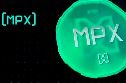 Đồng tiền ảo MPX. Ảnh: Công an TP Hà Nội
