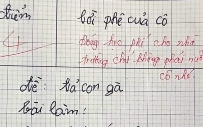 Học trò làm bài văn tả con gà, cô giáo chấm 4 điểm rồi vội đính chính một chi tiết Ảnh 2
