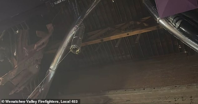 Hai người đang xem phim trong rạp thì nghe tiếng động lạ, cảnh tượng kinh hoàng xảy ra sau đó Ảnh 2