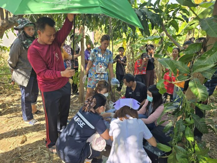 Bà cụ nghe âm thanh lạ trong vườn chuối, tá hỏa sau khi kiểm tra Ảnh 1