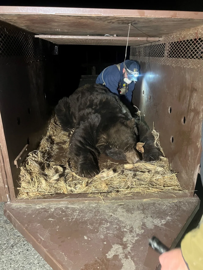 Trở về nhà sau vụ cháy, người đàn ông tá hỏa vì sự xuất hiện của 'vị khách' không mời Ảnh 2