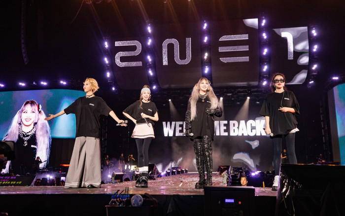 Chuyện gì đang xảy ra với 2NE1? Ảnh 2