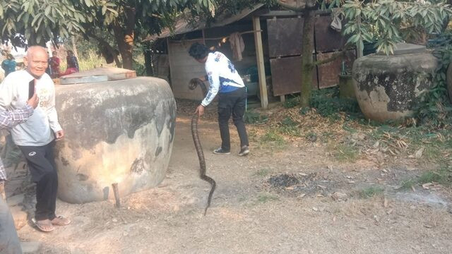 Vào phòng tắm, chủ nhà tá hỏa chạy ra ngoài vì một 'vị khách' không mời Ảnh 2