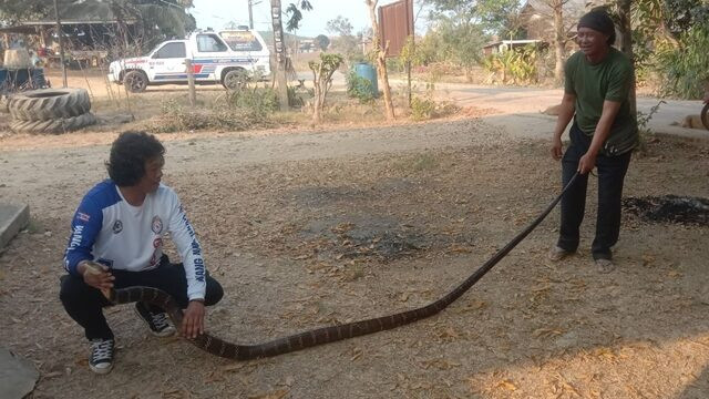 Vào phòng tắm, chủ nhà tá hỏa chạy ra ngoài vì một 'vị khách' không mời Ảnh 3