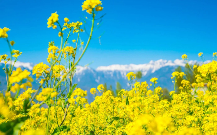 Năm 2148 sẽ có nhuận 2 tháng Giêng Ảnh 2