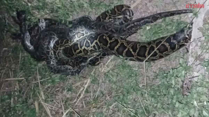 Đi xay gạo tại nhà máy, người dân kinh hãi trước cảnh tượng khó tin Ảnh 1