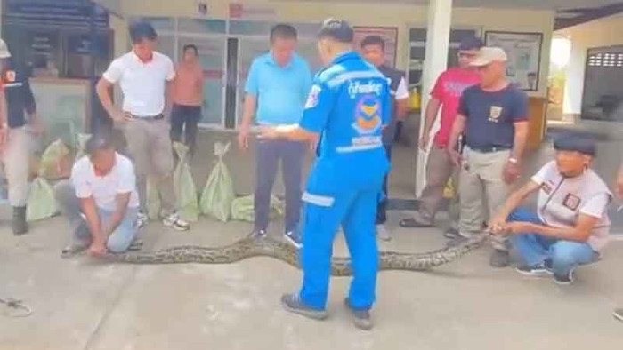 Đi xay gạo tại nhà máy, người dân kinh hãi trước cảnh tượng khó tin Ảnh 2