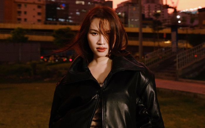 Diễn biến vụ MC Thanh Thanh Huyền bị mất vali ở Italy Ảnh 2