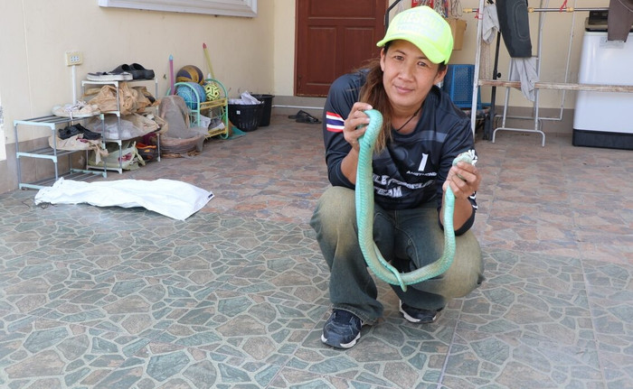 Chủ nhà phát hiện con rắn hổ mang kỳ lạ: 'Chưa từng thấy trước đây bao giờ' Ảnh 2