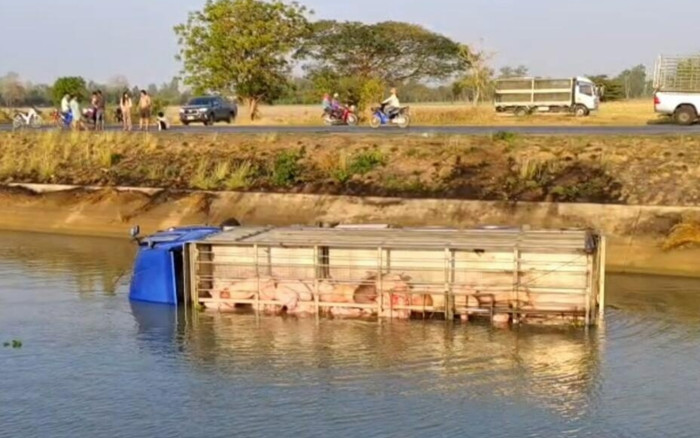 Xe tải chở heo lao xuống sông, gần 100 con bị chết đuối Ảnh 2