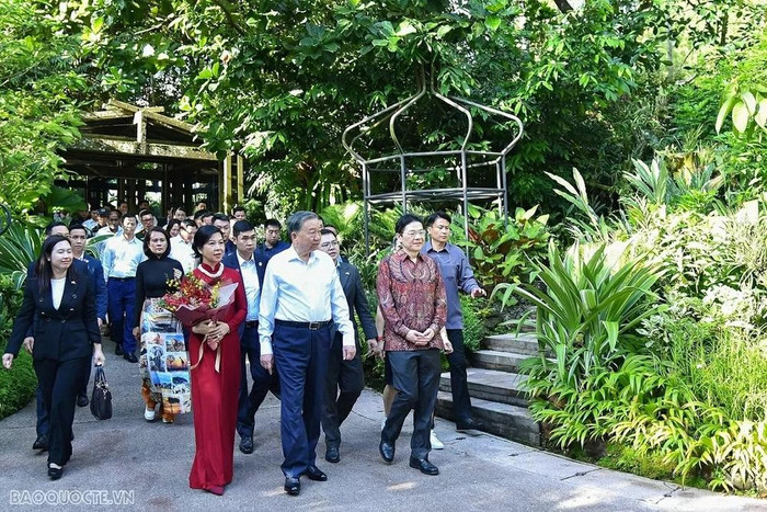 Lễ đặt tên cho hoa phong lan - nghi lễ ngoại giao đặc biệt Singapore dành cho Tổng Bí thư Tô Lâm Ảnh 2