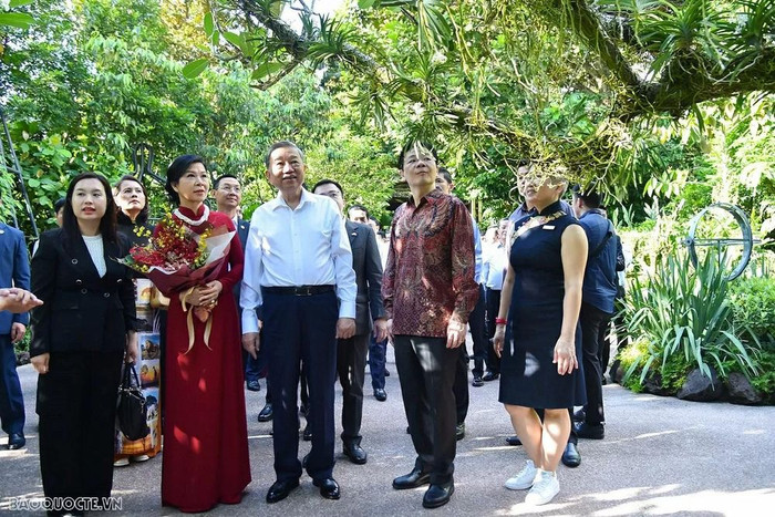 Lễ đặt tên cho hoa phong lan - nghi lễ ngoại giao đặc biệt Singapore dành cho Tổng Bí thư Tô Lâm Ảnh 3