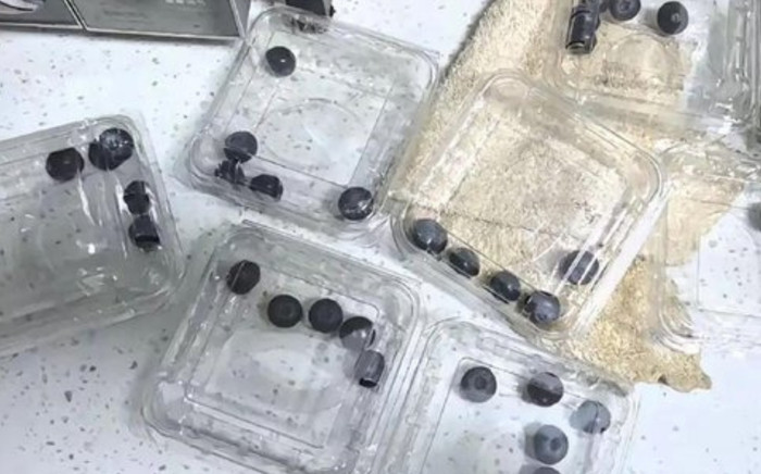 Mua 8 hộp việt quất trên livestream với giá 200 nghìn, khách khóc thét khi nhận hàng Ảnh 2