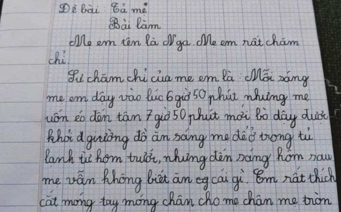 Cậu bé tiểu học làm bài văn tả mẹ cực hài hước, đoạn kết khiến tất cả bất ngờ Ảnh 2