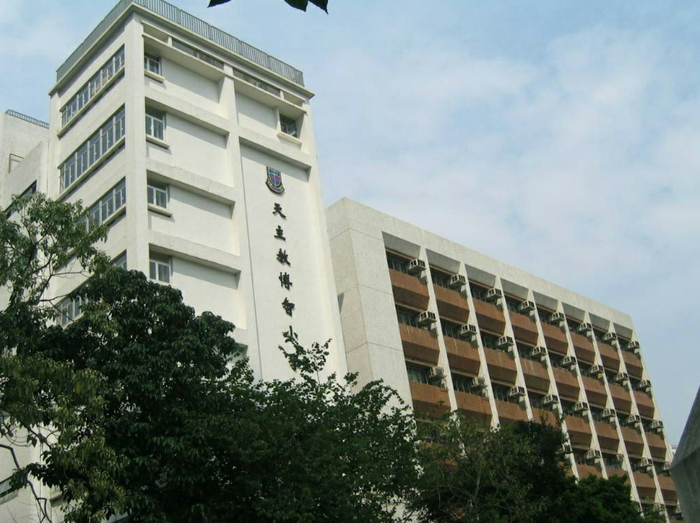 Số học sinh sụt giảm, hai trường tiểu học đối mặt nguy cơ đóng cửa Ảnh 1