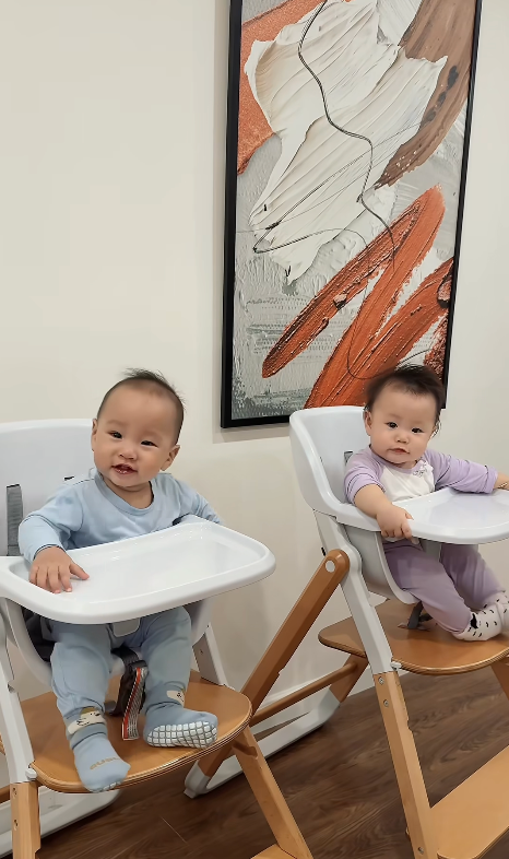 Phương Oanh xúc động chia sẻ khoảnh khắc cặp song sinh tập nói. Ảnh: FBNV