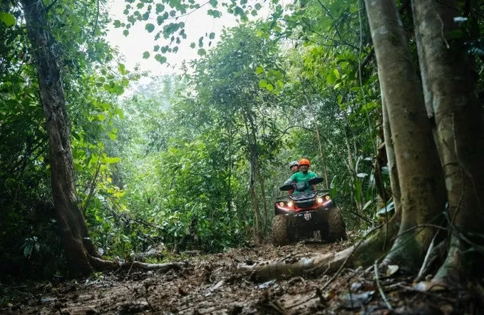 Tỉnh Quảng Bình có trên 590.000 ha rừng, tỷ lệ che phủ đạt 68,7%. (Nguồn: TTXVN)