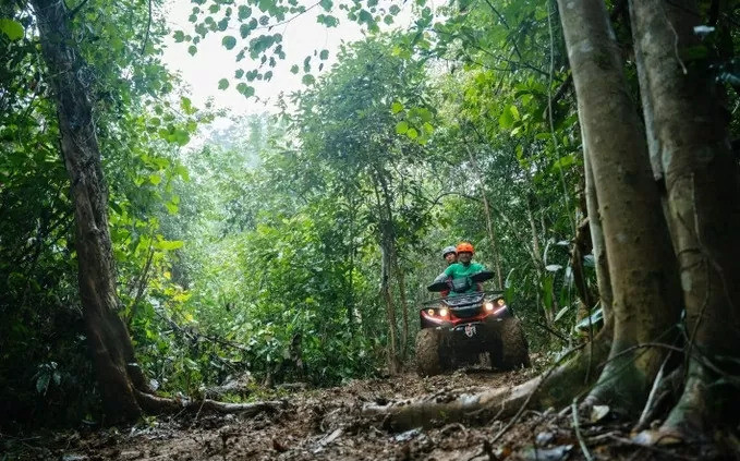 Trồng Một tỷ cây xanh - ích nước, lợi nhà, đẹp quốc gia Ảnh 2