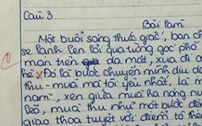 Bài văn bị chấm 0 điểm phần mở bài, dân tình phản đối giáo viên gay gắt Ảnh 2