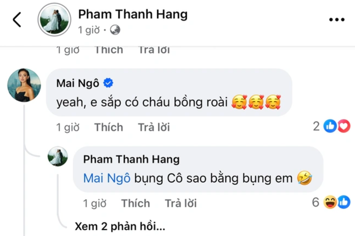 Thanh Hằng nhiều lần để lộ tín hiệu làm dấy lên nghi vấn đang mang thai con đầu lòng. (Ảnh chụp màn hình)