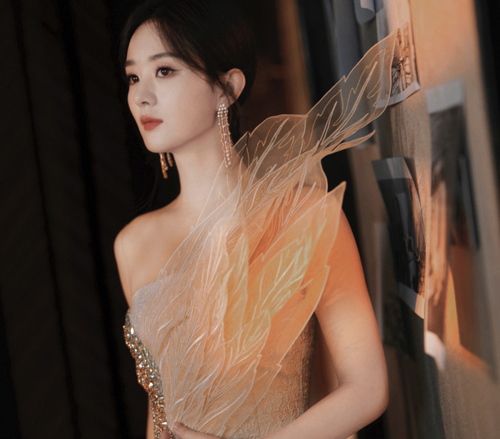 Dự án phim Triệu Lệ Dĩnh nhận được không được đánh giá cao dù cô nắm trong tay nhiều giải thưởng (Ảnh: Weibo).