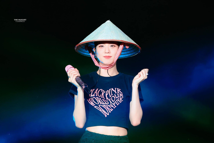 Jisoo liệu có hủy show ở Việt Nam? Ảnh 1
