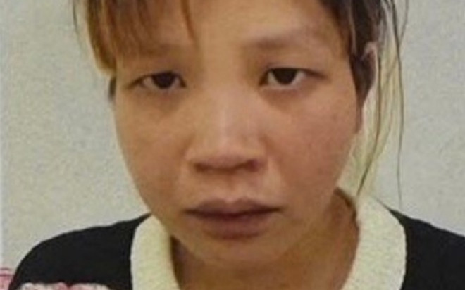 Công an Hà Nội truy nã Bùi Thị Mai Ảnh 2