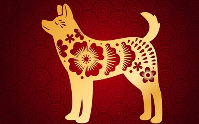 4 con giáp tuy nóng tính nhưng lại mang đến sự may mắn cho bạn đời, hãy trân quý! Ảnh 2