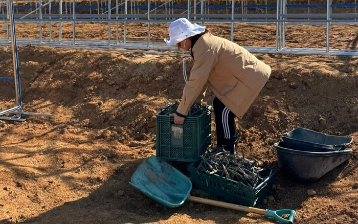 Nữ ca sĩ vỡ nợ 15 tỷ đồng vì cờ bạc, giờ giải nghệ trồng rau kiếm sống Ảnh 2